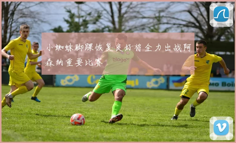 小蜘蛛脚踝恢复良好将全力出战阿森纳重要比赛