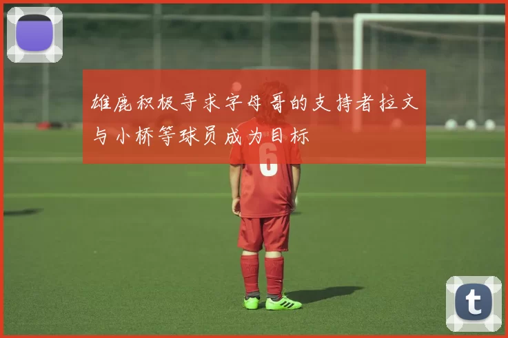 雄鹿积极寻求字母哥的支持者拉文与小桥等球员成为目标