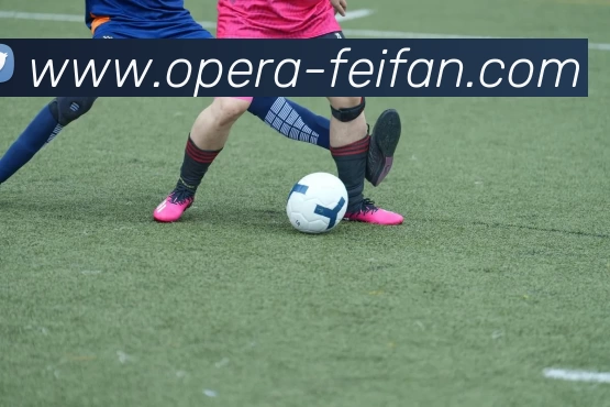 非凡娱乐APP 高清赛事图